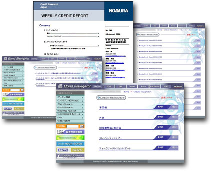 Experion Credit Report